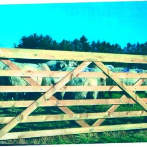 6-Bar Stud Gate