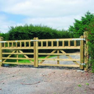 Clonin Gate