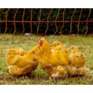 Poultry Netting
