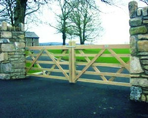 Shanderry Field Gate