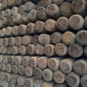 BC Post Insised 5ft x 75mm