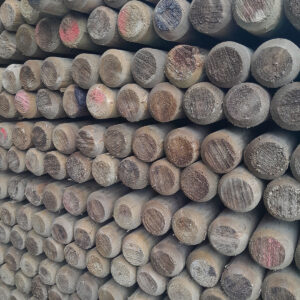 BC Post Insised 6ft x 75mm