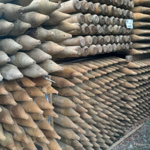 BC Post Insised  5ft x 106mm