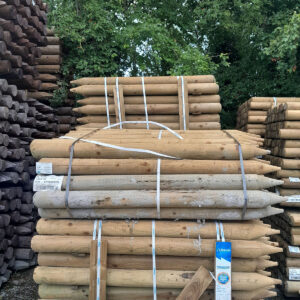 BC Post Insised 5ft x 106mm