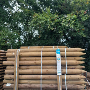 BC Post Insised  6ft x 106mm